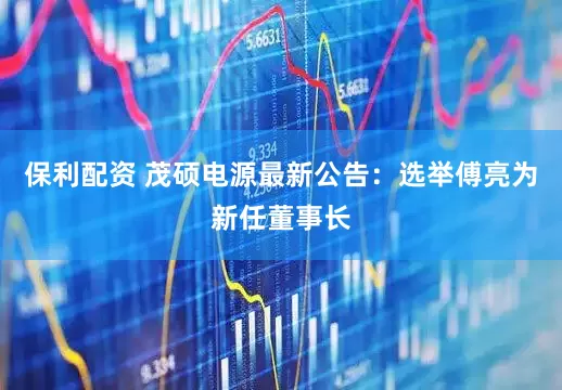 保利配资 茂硕电源最新公告：选举傅亮为新任董事长