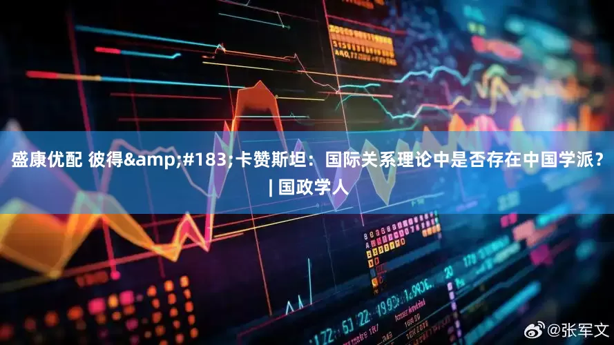 盛康优配 彼得&#183;卡赞斯坦：国际关系理论中是否存在中国学派？ | 国政学人