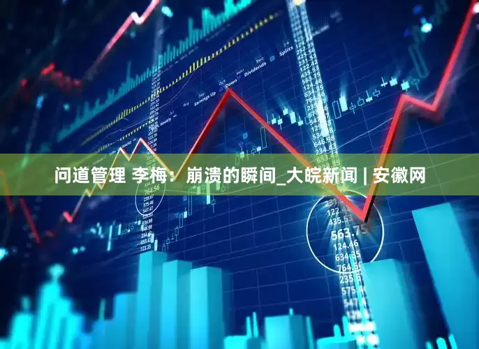问道管理 李梅：崩溃的瞬间_大皖新闻 | 安徽网