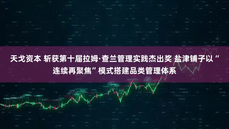 天戈资本 斩获第十届拉姆·查兰管理实践杰出奖 盐津铺子以“连续再聚焦”模式搭建品类管理体系